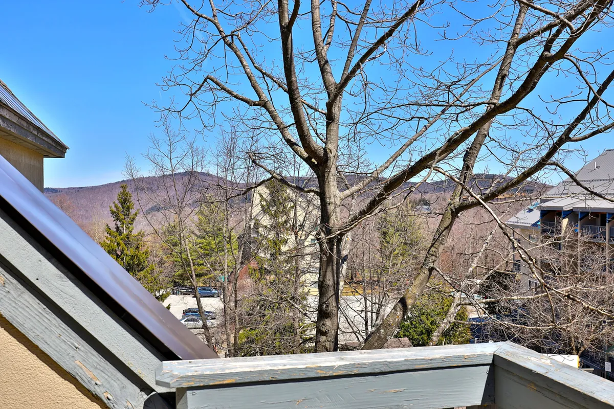 This image presents a tranquil mountain view with bare tree branches in the foreground and distant peaks under a clear blue sky. The setting feels peaceful and immersive, suggestive of scenic vistas enjoyed from a balcony or during a nature walk.
